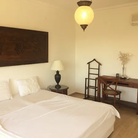 Villa 11